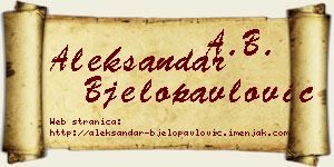 Aleksandar Bjelopavlović vizit kartica